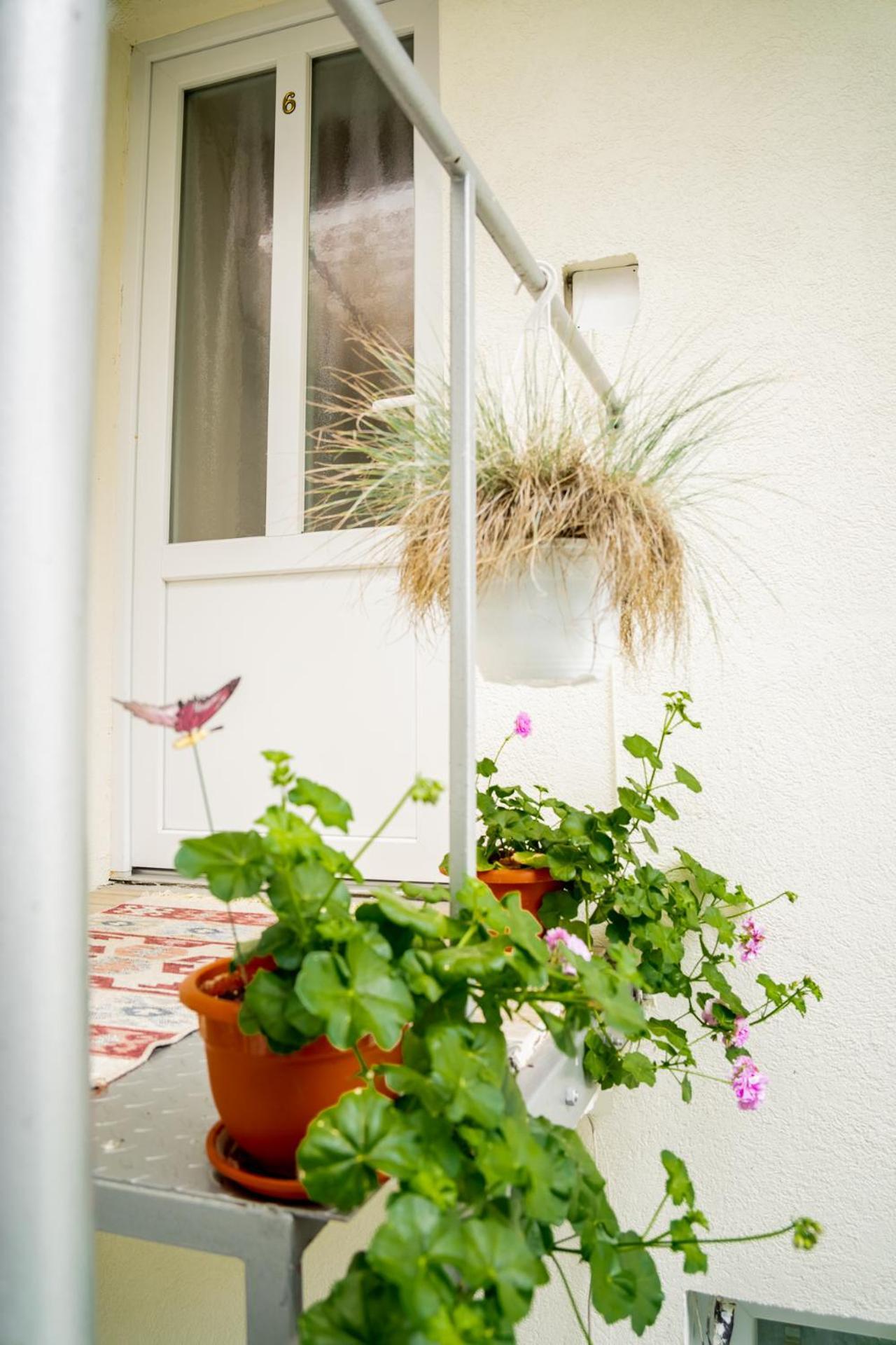 Anna'S Guesthouse Cluj-Napoca Exterior photo